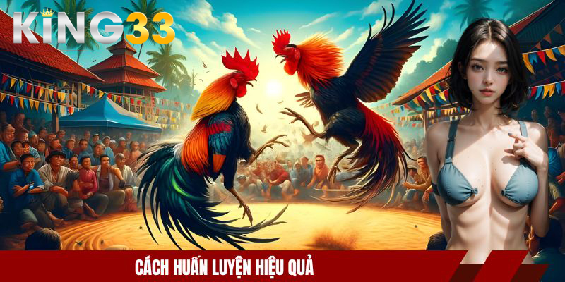Cách huấn luyện hiệu quả