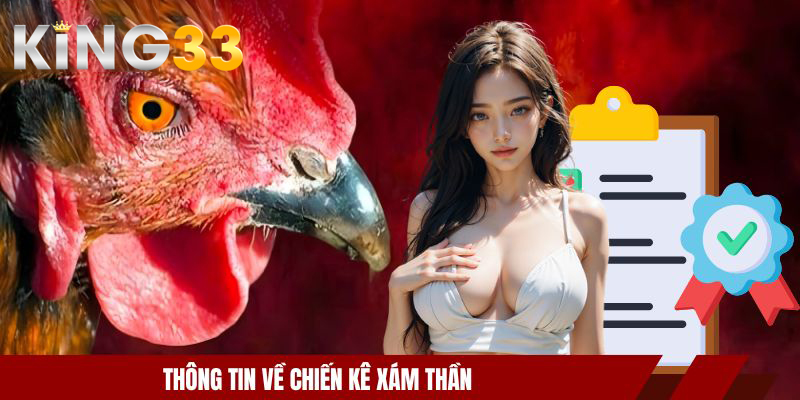 Thông tin về chiến kê xám thần