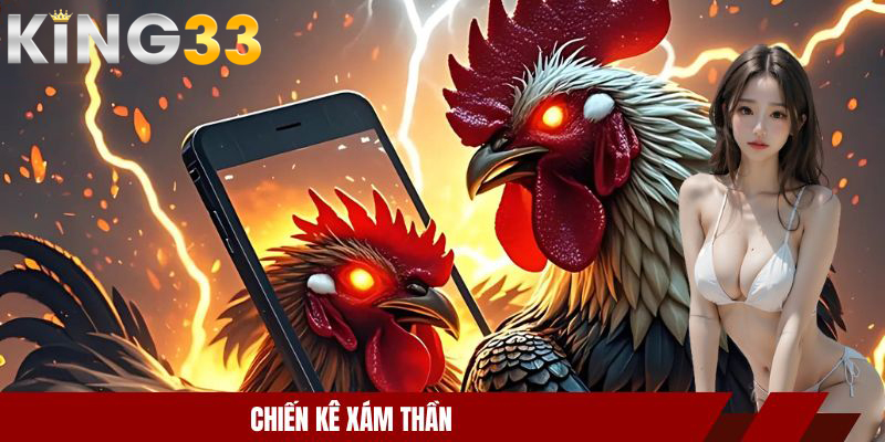 Chiến kê xám thần