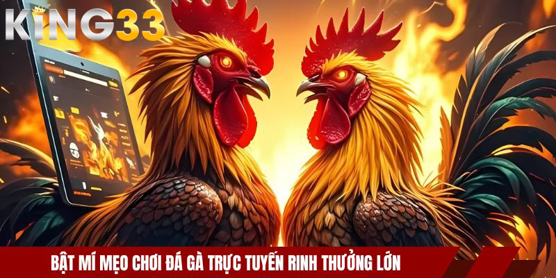 Bật mí mẹo chơi đá gà trực tuyến rinh thưởng lớn
