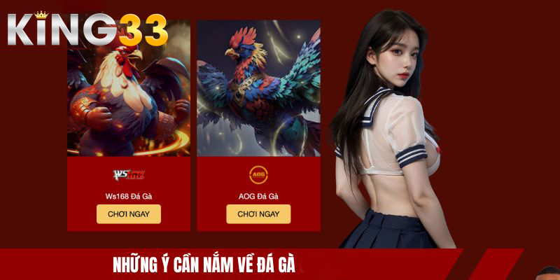 Những ý cần nắm về đá gà KING33