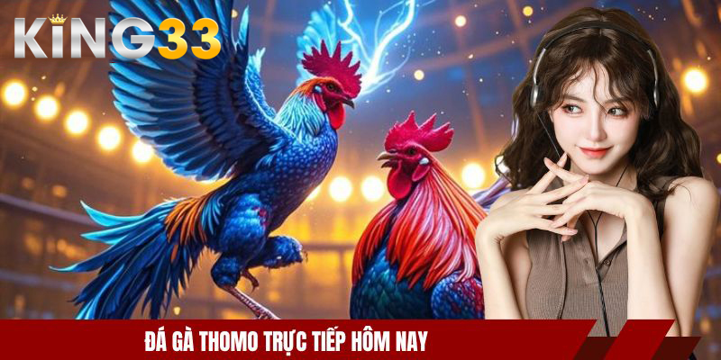 Chi tiết xem đá gà Thomo trực tiếp hôm nay đơn giản cho người mới 