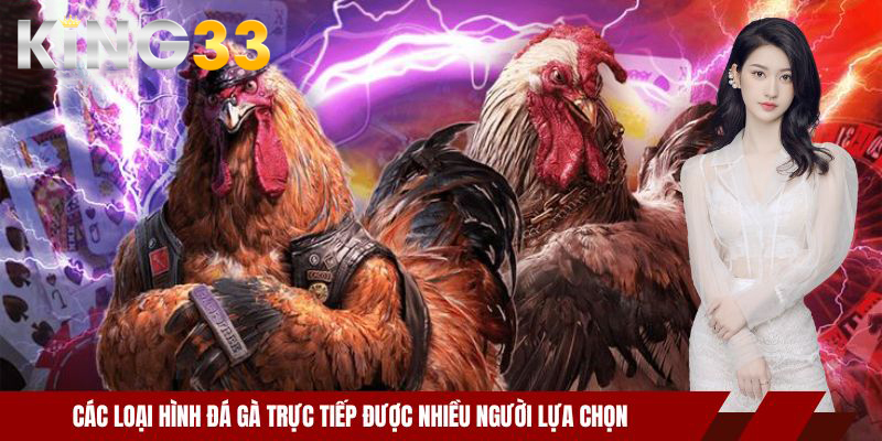 Các loại hình đá gà trực tiếp được nhiều người lựa chọn