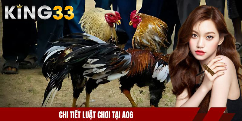 Sảnh đá gà AOG - Thế Giới Của Tốc Độ Và Chiến Lược Chuẩn 4 Chi tiết luật chơi tại AOG