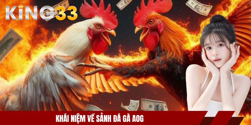 Sảnh đá gà AOG - Thế Giới Của Tốc Độ Và Chiến Lược Chuẩn 2 Khái niệm về sảnh đá gà AOG