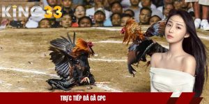 trực tiếp đá gà CPC