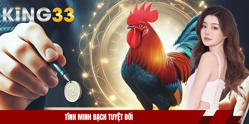 Trực Tiếp Đá Gà CPC - Trải Nghiệm Xanh Chín, Minh Bạch 3 Tính minh bạch tuyệt đối
